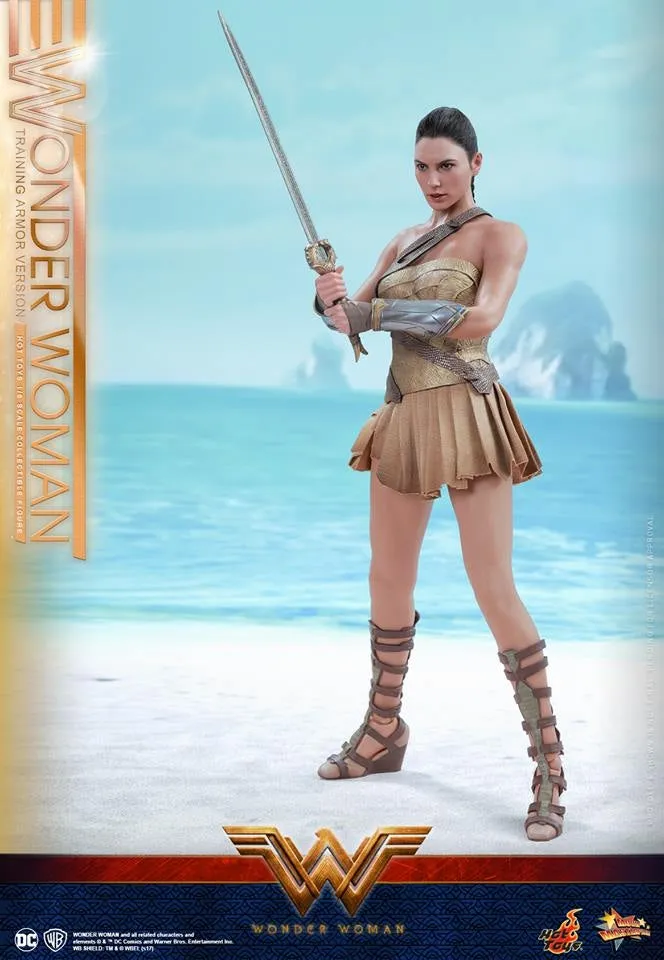 Hot Toys – MMS424 – Wonder Woman –  Wonder Woman (Training Armor Version)