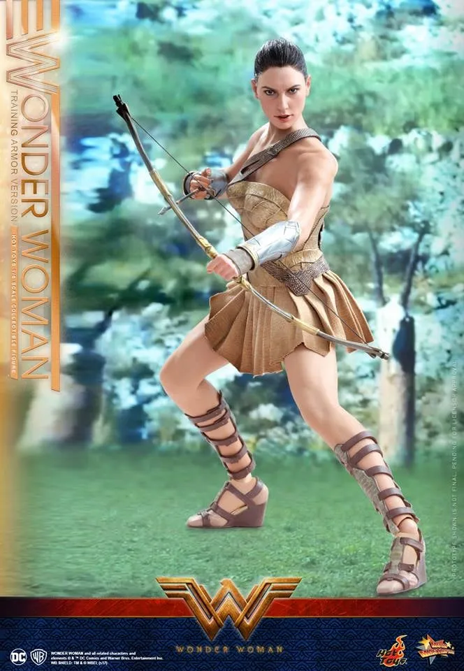 Hot Toys – MMS424 – Wonder Woman –  Wonder Woman (Training Armor Version)