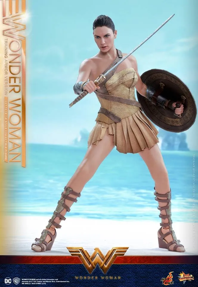 Hot Toys – MMS424 – Wonder Woman –  Wonder Woman (Training Armor Version)