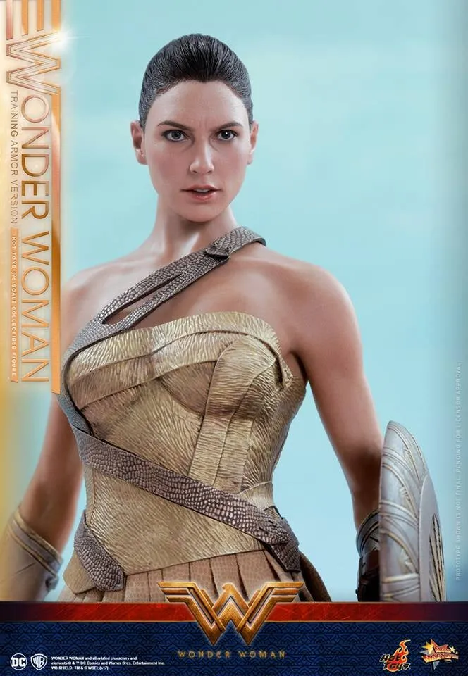 Hot Toys – MMS424 – Wonder Woman –  Wonder Woman (Training Armor Version)