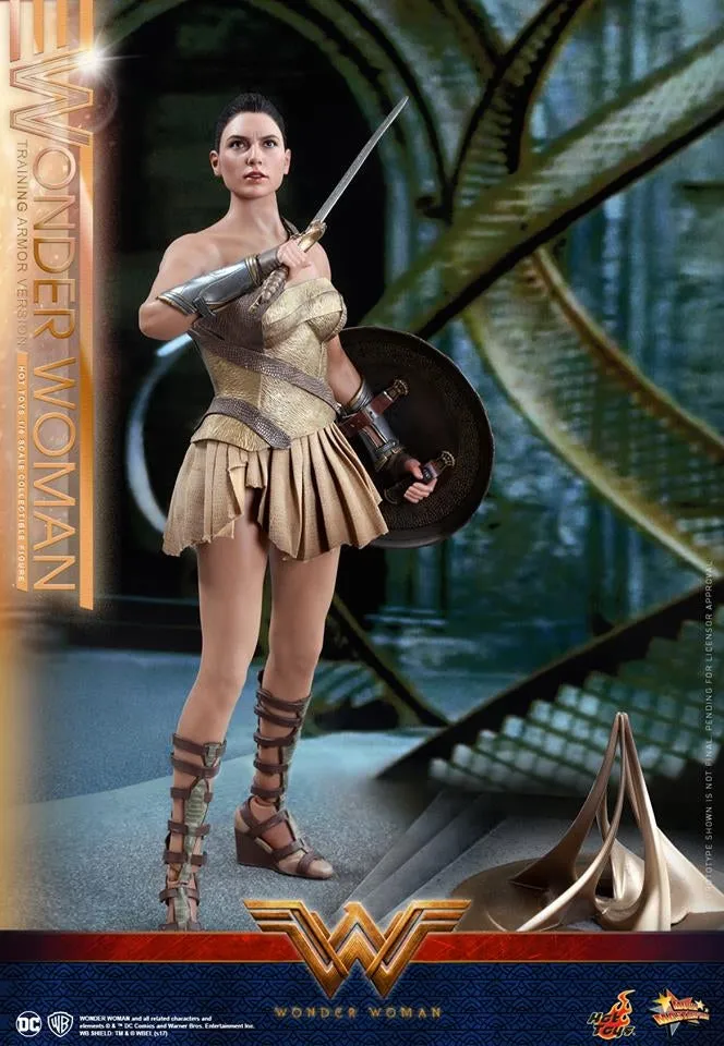 Hot Toys – MMS424 – Wonder Woman –  Wonder Woman (Training Armor Version)